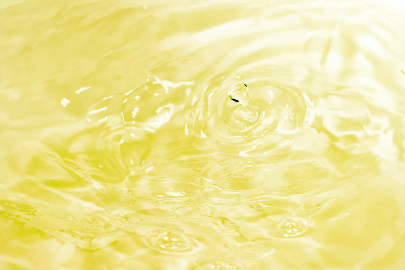 ヒューミックシェール抽出の植物ミネラルを使用画像