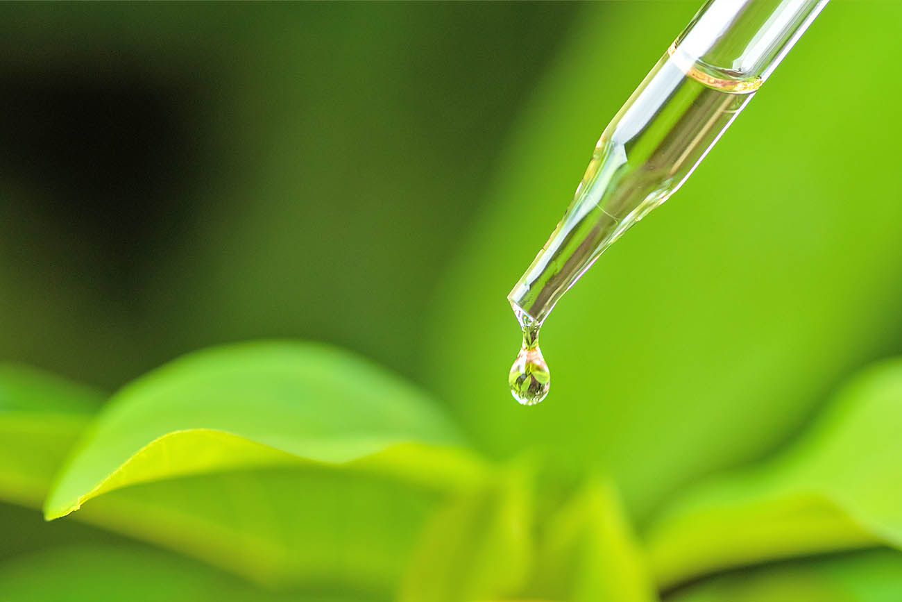 秘密は「植物ミネラル」のパワー画像