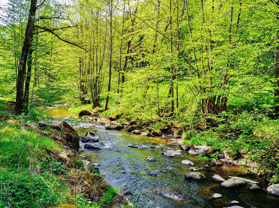 日本ジェルについて画像