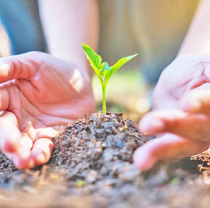 日本ジェルについて画像